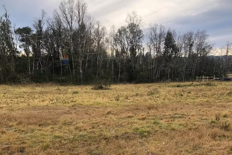 Venta parcela 5000 mts, en villarrica