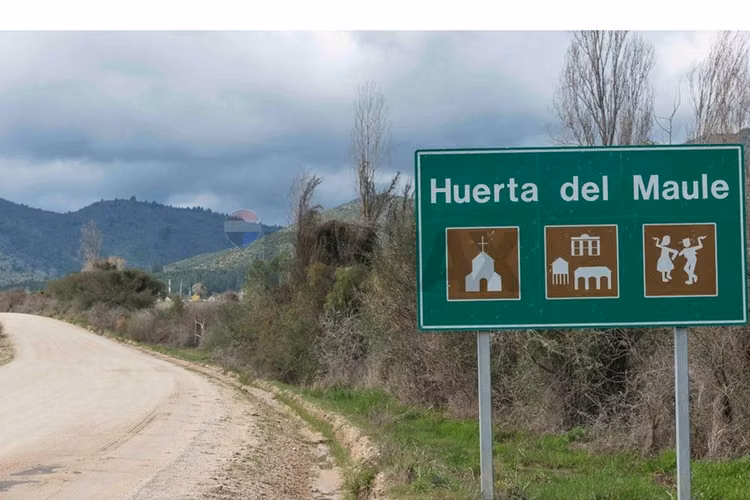 "escondite perfecto en huerta del maule"