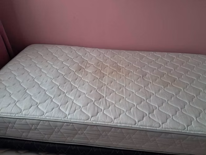 Cama nido