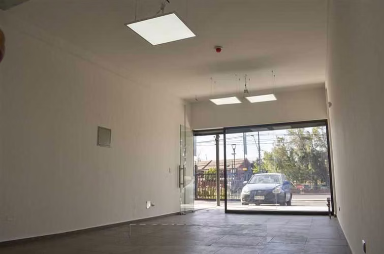 Local Comercial, Arriendo San Luís De Macul (175101)