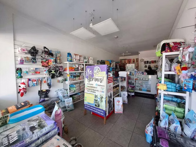 Local Comercial, Arriendo San Luís De Macul (175101)