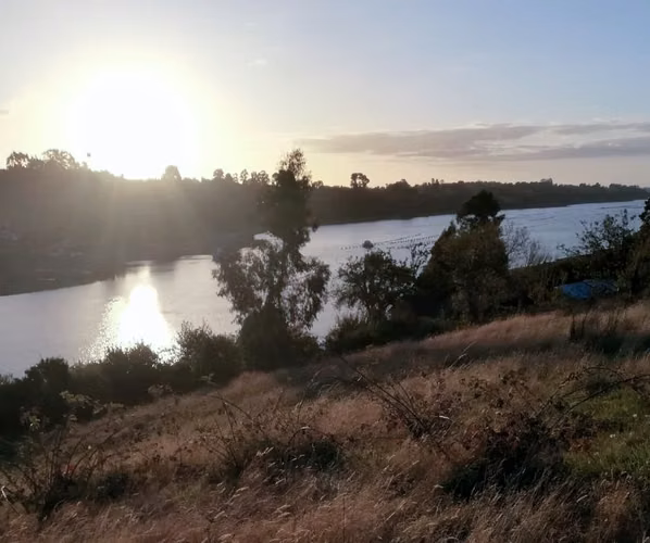 Parcela Isla Puluqui  Calbuco