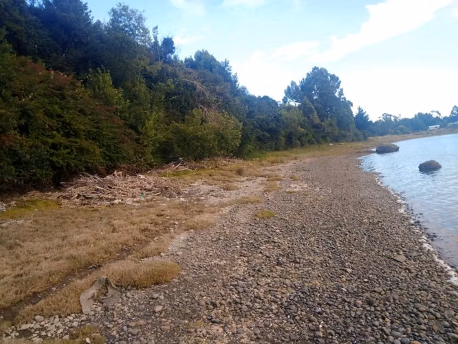 Parcela Isla Puluqui  Calbuco