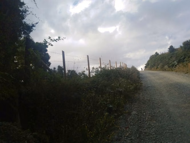 Parcela Isla Puluqui  Calbuco