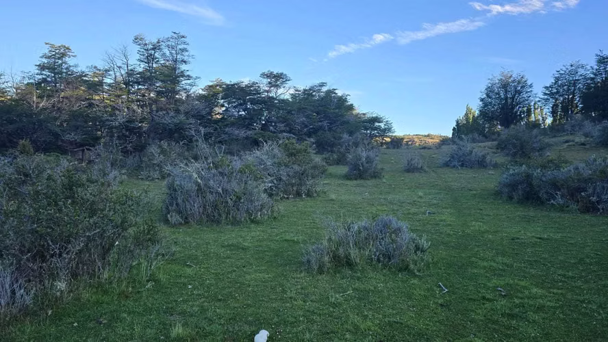 3 hectáreas Vista Cerro Castillo (175130)