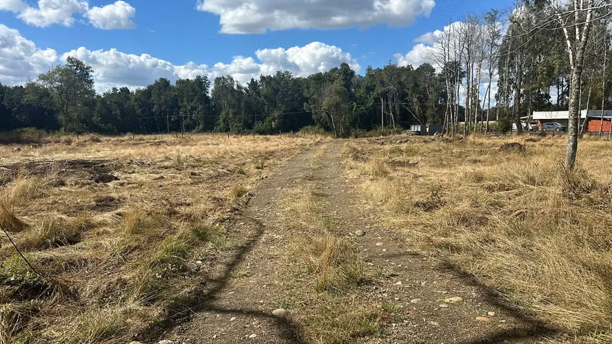 RODEADA DE ARBOLES NATIVOS CON BUENOS CAMINOS CON ACCESO A LUZ Y AGUA - Imagen 14