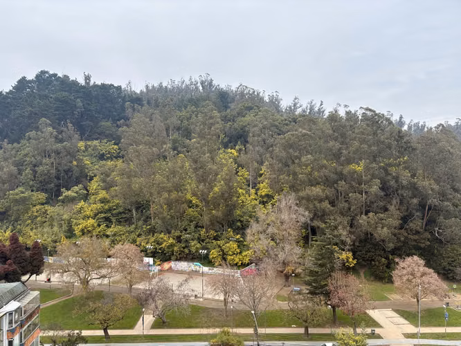 Departamento Nuevo 1d1b + Est Y Bod. Vista Al Parque Ecuador