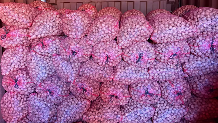 Nueces de primera