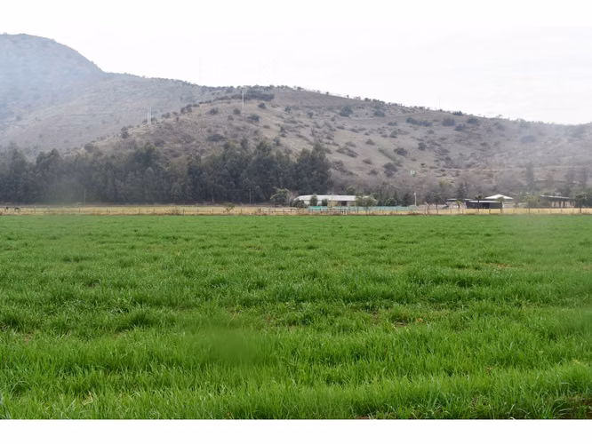 VENTA Parcela Agrícola, Camino a Catemito, Calera de Tango