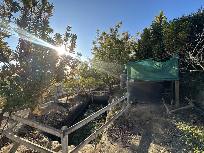 Parcela en venta de 20000m2 , San Pedro de Quillota