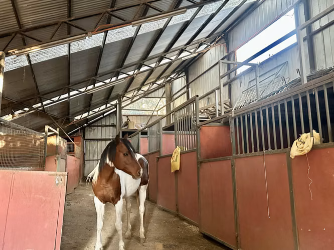 Parcela en venta de 20000m2 , San Pedro de Quillota