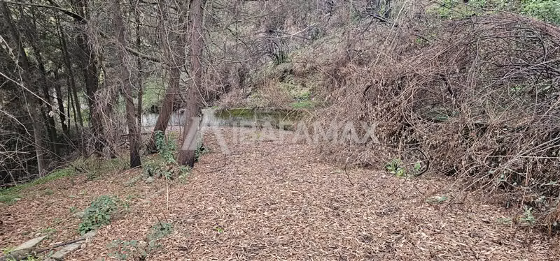 Parcela en venta en Concepción
