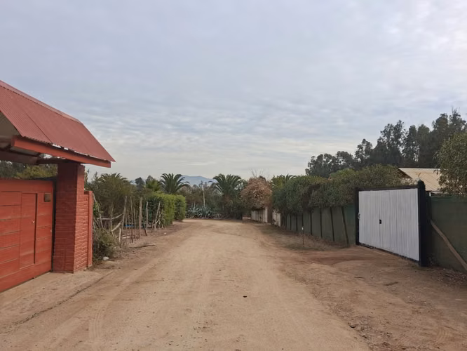 Naturaleza, campo y conectividad