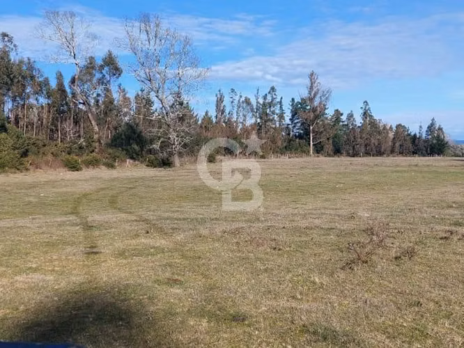 Campo Novena Región, Sector Freire