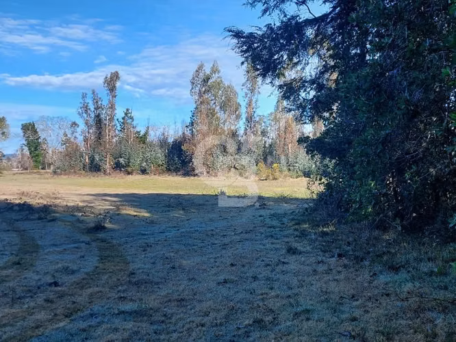 Campo Novena Región, Sector Freire