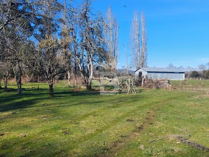 Campo Novena Región, Sector Freire