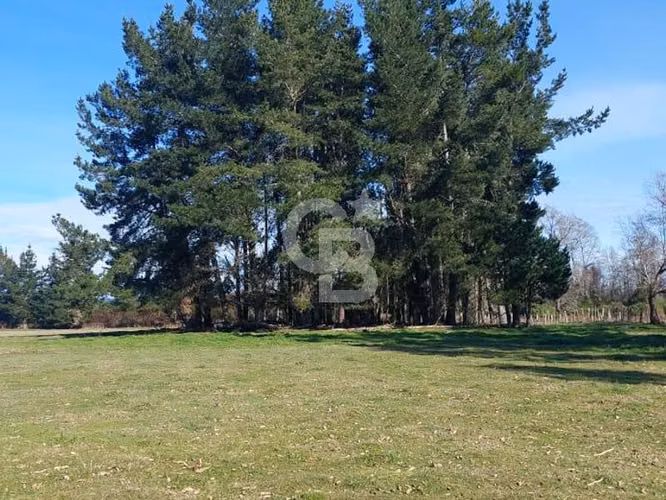 Campo Novena Región, Sector Freire