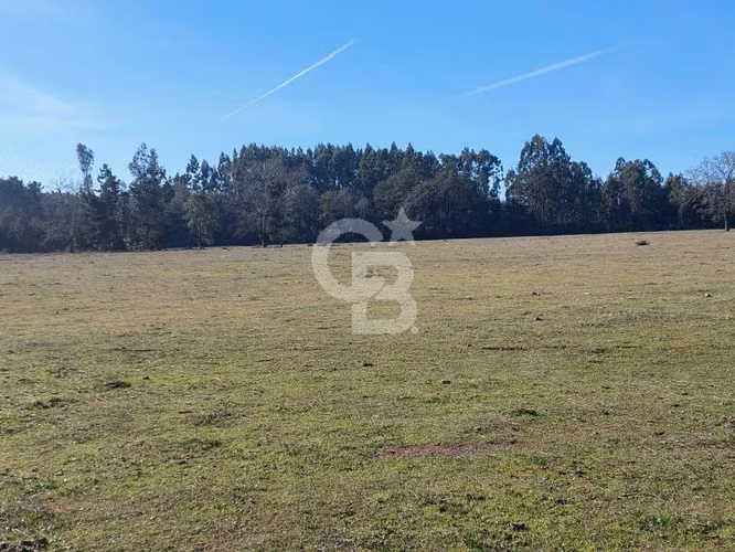 Campo Novena Región, Sector Freire