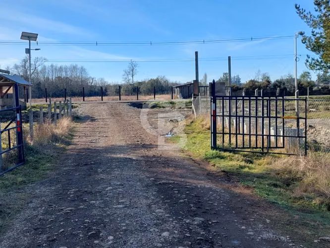 Campo Novena Región, Sector Freire