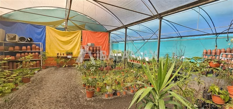 Local Comercial en venta en San Pedro de la Paz
