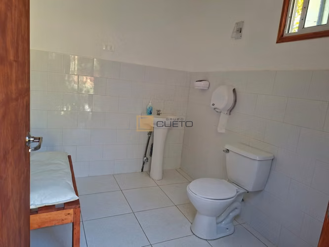 Fundo de 11 Hectáreas en Venta, con producción de paltos y espacios recreativos.