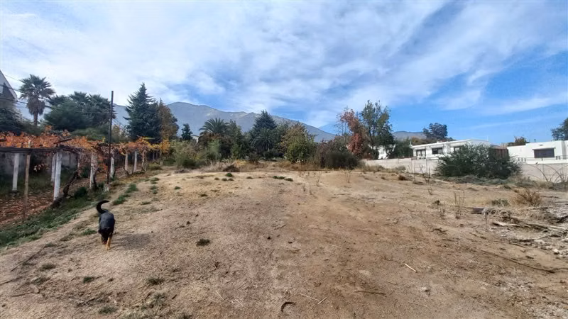 SITIO lo cañas - Imagen 15