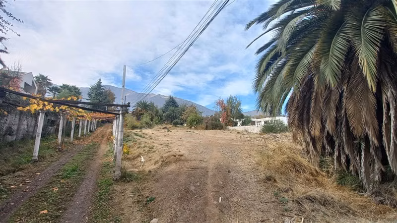 SITIO lo cañas