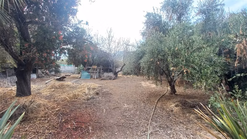 SITIO lo cañas - Imagen 11