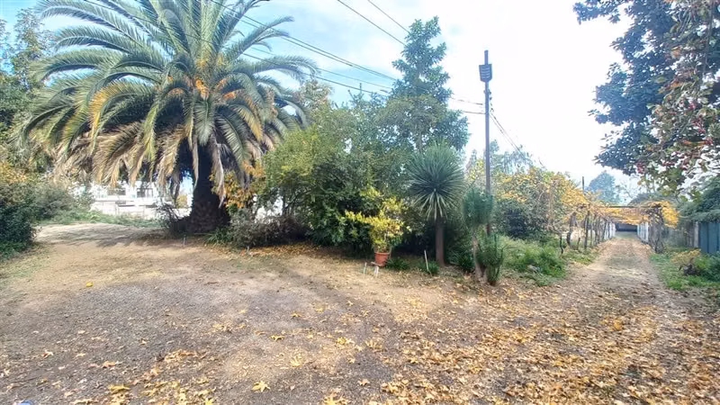 SITIO lo cañas - Imagen 7