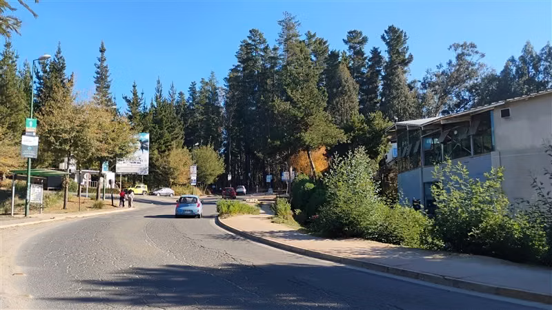 CASA Los Pinos 45