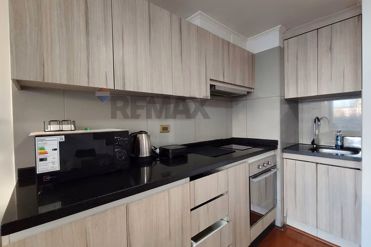 Arriendo loft amoblado en metro santa ana