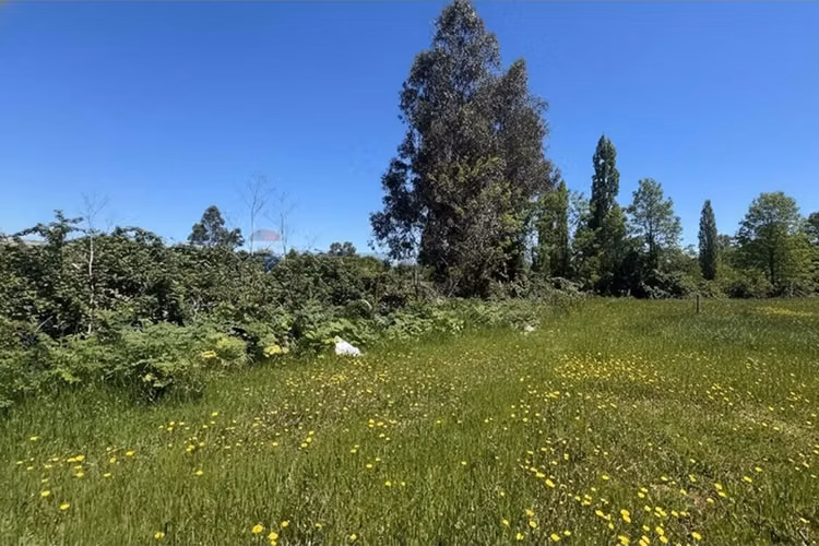 Gran parcela en longavi