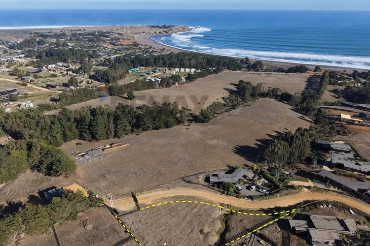 Exclusivo terreno urbanizado en punta de lobos