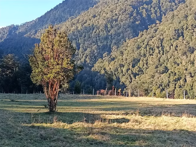 VENTA DE PARCELA EN FUTRONO