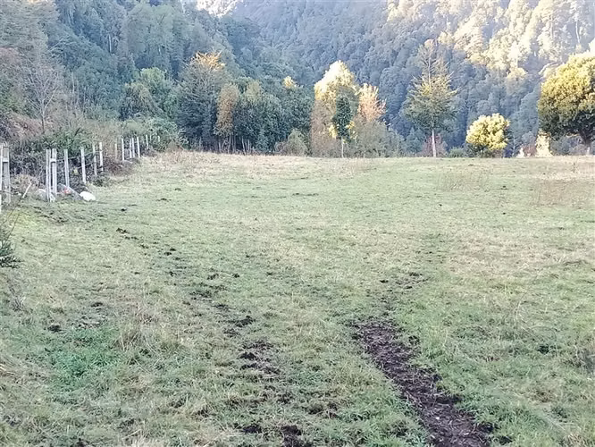VENTA DE PARCELA EN FUTRONO