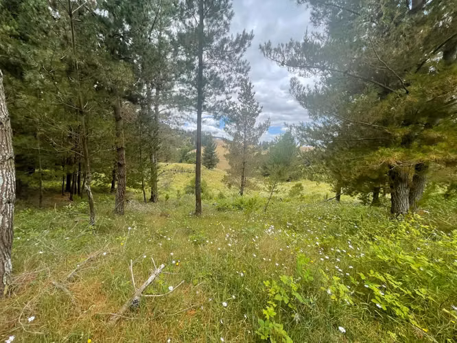 VENTA DE 4,49  HECTAREAS DE TERRENO HUILLINCO LA UNION