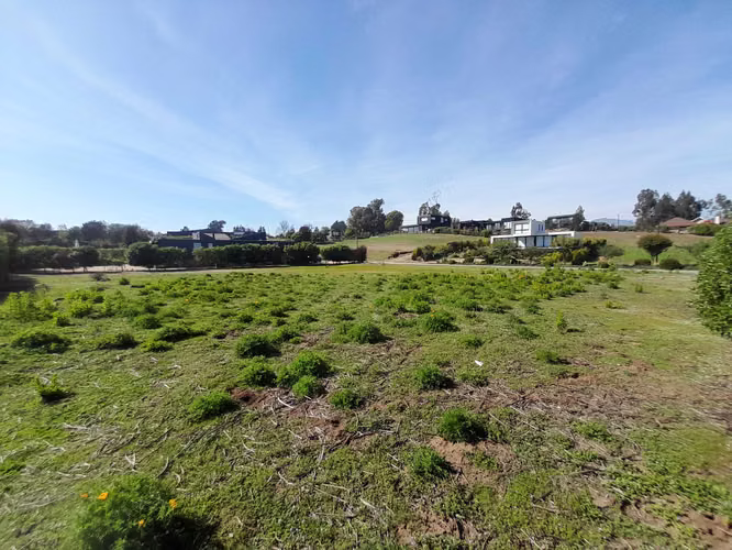 Polo Maitencillo 690 m2, Terreno Plano (175310)