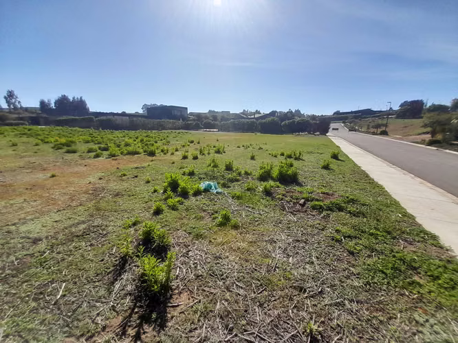 Polo Maitencillo 690 m2, Terreno Plano (175310)