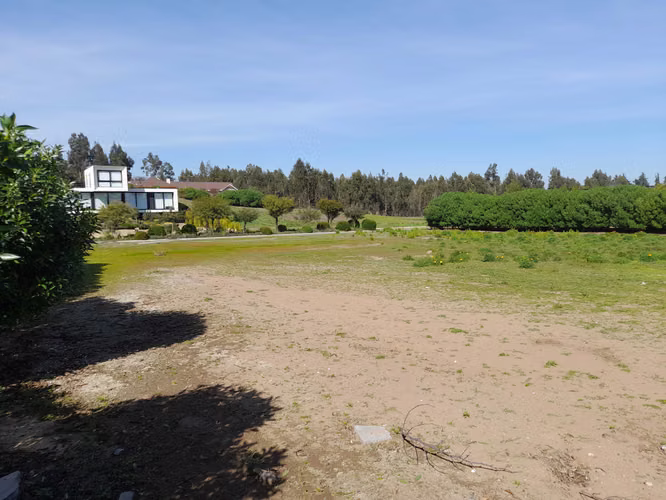 Polo Maitencillo 690 m2, Terreno Plano (175310)