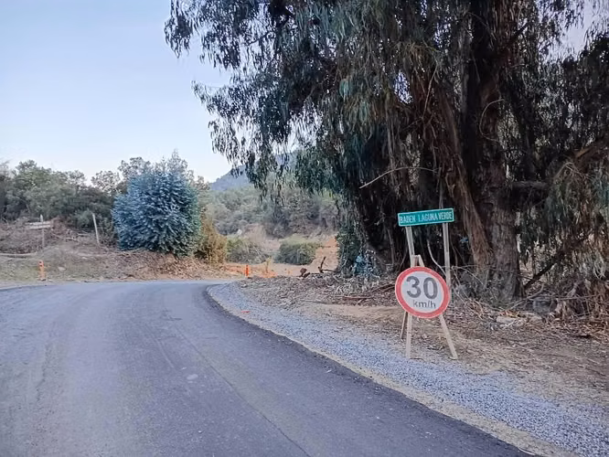 Venta de terreno forestal