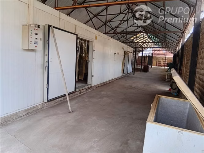 Se vende propiedad industrial planta frigorífica en La Cruz