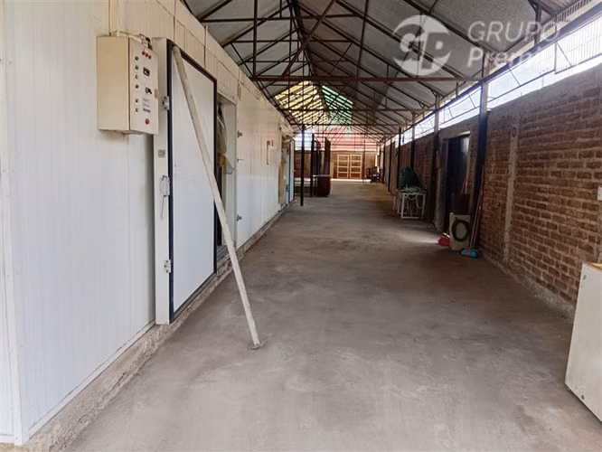 Se vende propiedad industrial planta frigorífica en La Cruz
