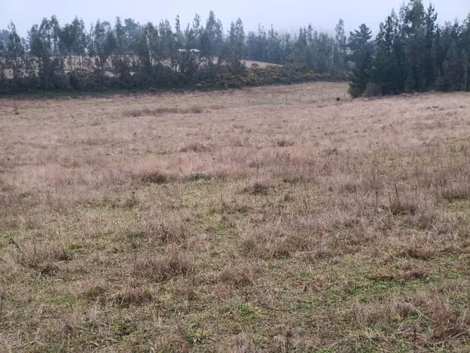 Terreno indígena - Imagen 6
