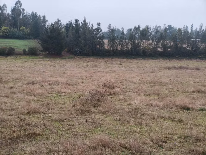 Terreno indígena - Imagen 5