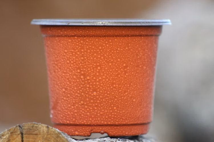 Maceteros plásticos para plantas de vivero