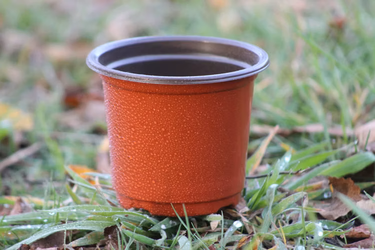 Maceteros plásticos para plantas de vivero