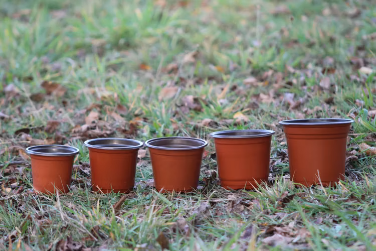 Maceteros plásticos para plantas de vivero