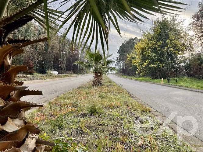 Terreno con Espectacular Vista, San José del Mar