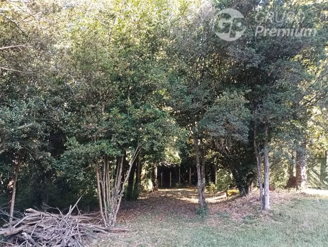 VEDO CASA, en parcela de 5.050 M2, Villarrica Licanray.