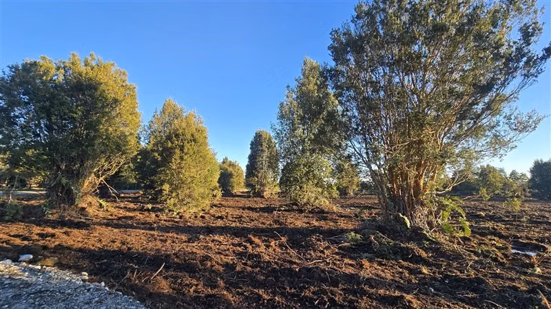 Parcela en venta en Puerto Varas